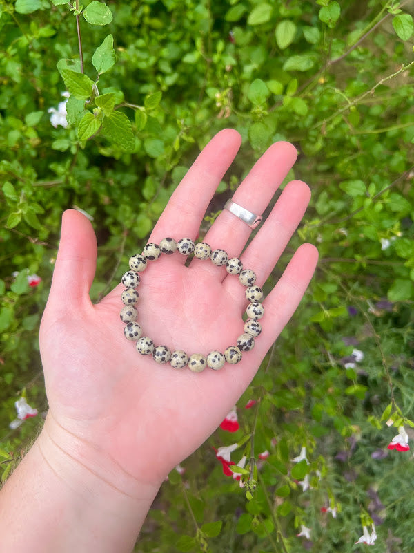 Dalmatian Jasper Intentional Healing Crystal Bracelet